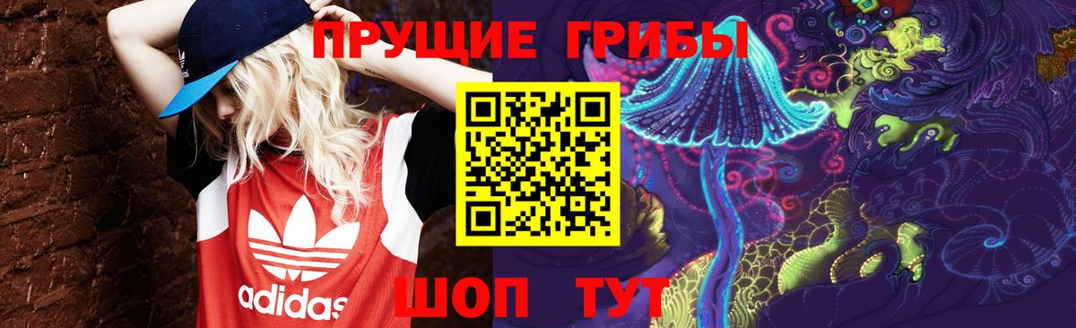 Галлюциногенные грибы GOLDEN TEACHER  Вход с VPN  Норильск 